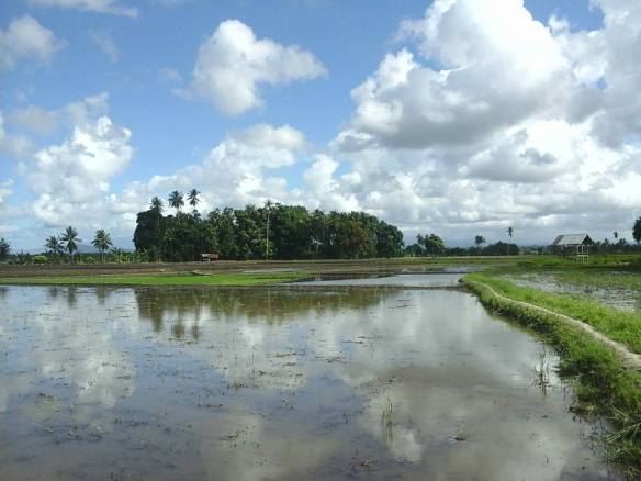 13254094_10154373250399674_315167266692011230_n